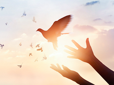 遠(yuǎn)大美業(yè)·情暖重陽(yáng)｜慈孝公益，善的種子，生根萌發(fā)……